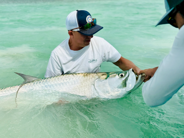 Two anglers release a gigantic tarpon from shallow turquoise waters, capturing a dramatic, sunlit moment on a bright day at sea.